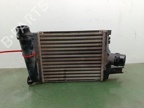 Intercooler Intercooler DACIA SANDERO II [2012-2026] 34141808 34141808
