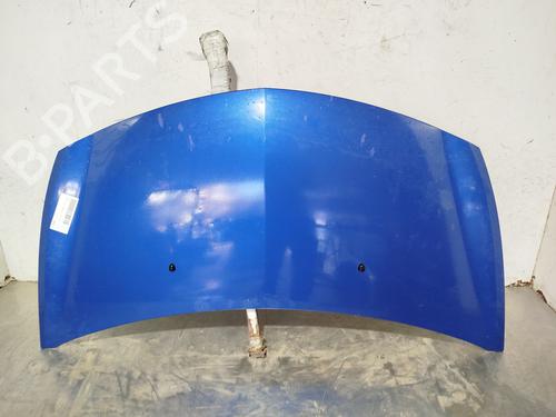 Used Hood RENAULT CLIO III (BR0/1, CR0/1) 1.4 16V (98 hp) 30063017