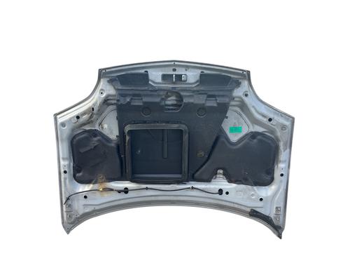 Hood NISSAN X-TRAIL I (T30)  | BP25902616C1 