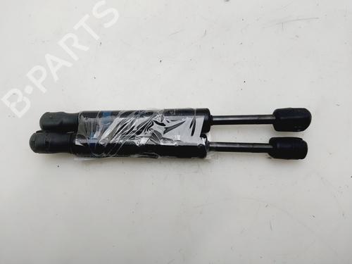 Used Tailgate lift support RENAULT KANGOO BE BOP (KW0/1_) 1.5 dCi 75 (75 hp) 31316401