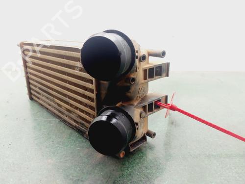 Intercooler CITROËN C4 II (NC_)  | BP29326308M30