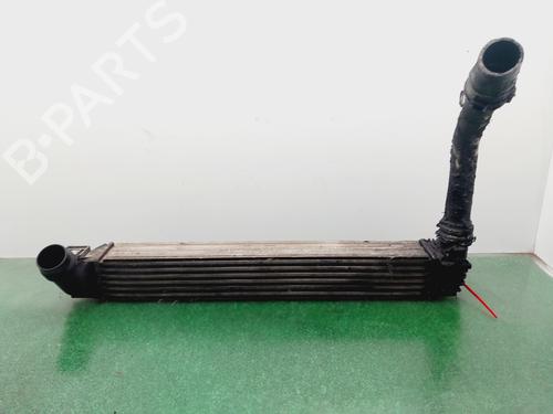 Used Intercooler RENAULT MEGANE III Grandtour (KZ0/1) [2008-2016]  31352439