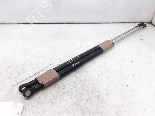 Used Tailgate lift support FORD FIESTA I (GFBT) 0.9 (40 hp) 13994097