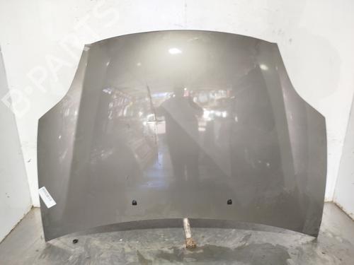 hood-fiat-bravo-ii-198_-2006-2007-2008-2009-2010-2011-2012-2013-2014-2015-2016-34121264 main image
