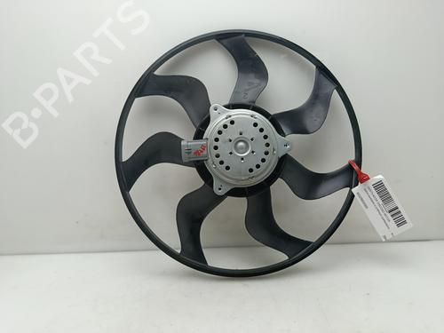 Fan DACIA SANDERO III  | BP29519196M128 