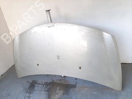 Hood RENAULT CLIO III (BR0/1, CR0/1) 1.4 16V | BP11732375C1 