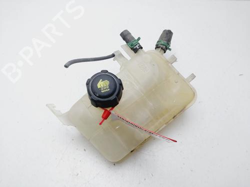 Used Expansion tank RENAULT SCÉNIC III (JZ0/1_) 1.2 TCe (JZ16) (132 hp) 29596839