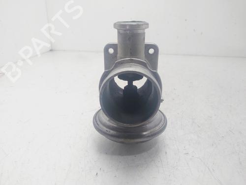 Egr BMW 5 (E39) 530 d | BP29464082M69 