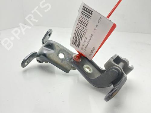 Used Hinge/Door check strap Hinge/Door check strap KIA SPORTAGE IV (QL, QLE) [2015-2022] 33885228 33885228