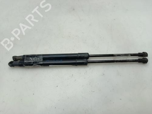 Used Hood lift support BMW 1 (E87) 118 d (143 hp) 29467867