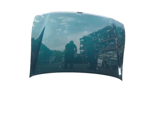 Used Hood Hood 37871463 37871463