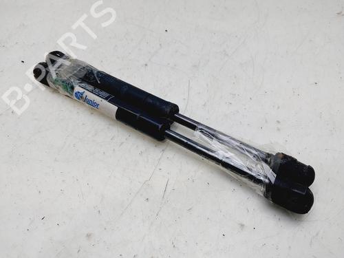 Hood lift support FORD MONDEO III (B5Y)  | BP29904077C139 
