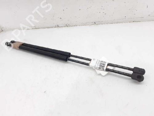 Used Tailgate lift support LAND ROVER FREELANDER 2 (L359) 2.2 TD4 4x4 (152 hp) 13995468