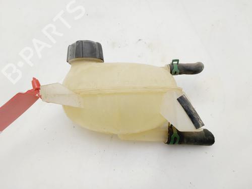 Expansion tank RENAULT CAPTUR I (J5_, H5_)  | BP29795551C120