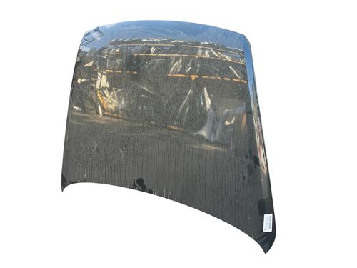 Hood VW TOUAREG (7LA, 7L6, 7L7)  | BP25895776C1 