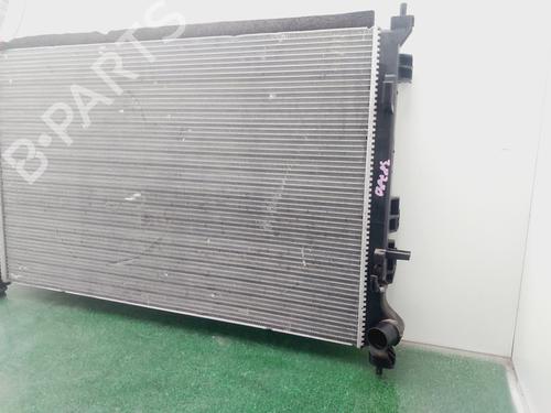 Køler RENAULT AUSTRAL  | BP29620849M31 