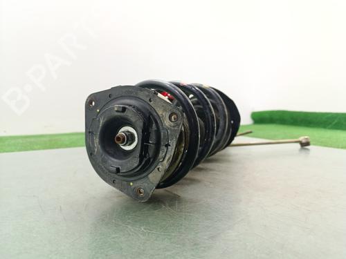 Right front shock absorber NISSAN X-TRAIL II (T31)  | BP25902724M17 