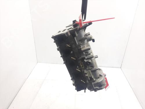 Cylinder head FIAT FIORINO Box Body/MPV (225_)  | BP29616841M5 