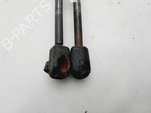 Tailgate lift support SEAT IBIZA III (6L1)  | BP29450983C138 