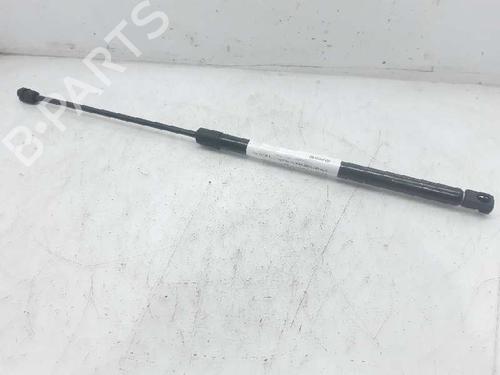 Used Hood lift support CITROËN XSARA (N1) 1.9 D (70 hp) 13994145