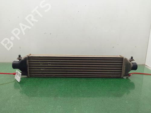 Used Intercooler FIAT BRAVO II (198_) 1.6 D Multijet (198AXH1B) (105 hp) 24203556