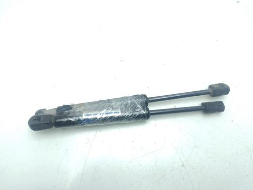 Hood lift support RENAULT SCÉNIC III (JZ0/1_) | BP24496795C139