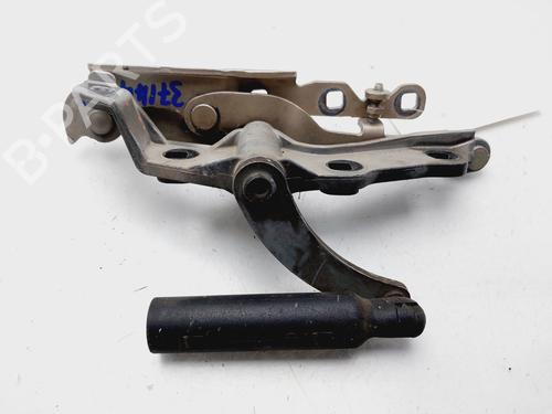 Hinge/Door check strap MERCEDES-BENZ S-CLASS (W221, V221) S 500 (221.071, 221.171) | BP25902719C146 