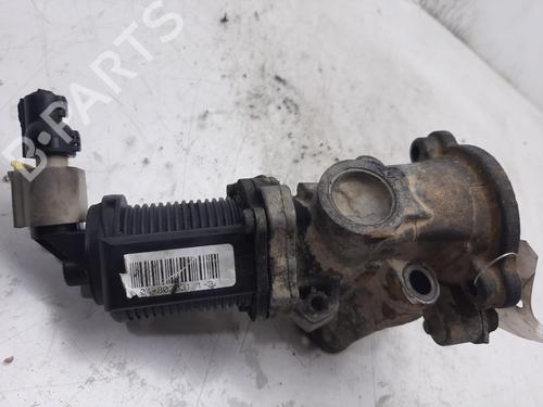 Egr FIAT GRANDE PUNTO (199_)  | BP13875985M69 
