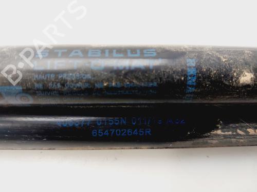 Tailgate lift support DACIA DUSTER (HM_) | BP32514920C138