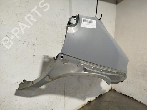 Right front fenders RENAULT SCÉNIC I MPV (JA0/1_, FA0_) 1.9 dCi RX4 | BP29982065C42