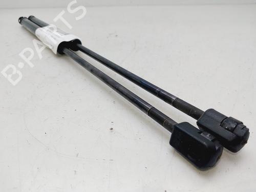 Tailgate lift support FIAT PUNTO Hatchback Van (188_) 1.2 60 | BP29763658C138 