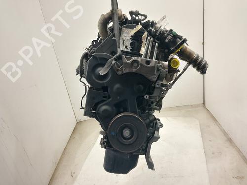 Engine FORD FIESTA VI (CB1, CCN)  | BP37693621M1  - Image 8