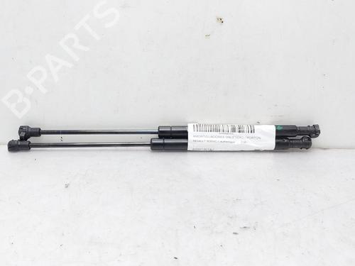 Used Tailgate lift support RENAULT SCÉNIC II (JM0/1_) [2003-2010]  14008312