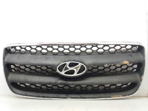 Used Grille HYUNDAI SANTA FÉ II (CM) 2.2 CRDi GLS (150 hp) 2884452