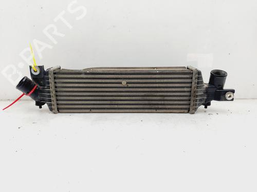 Intercooler NISSAN ALMERA II (N16) 2.2 dCi (112 hp) 19152817