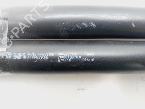 Tailgate lift support DACIA LODGY (JS_) | BP31316392C138