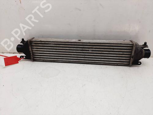 Intercooler OPEL COMBO Box Body/MPV (X12) 1.3 CDTI (B05) | BP25938093M30 