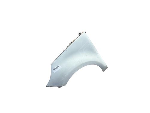 Left front fenders RENAULT SCÉNIC III (JZ0/1_)  | BP25482367C41 