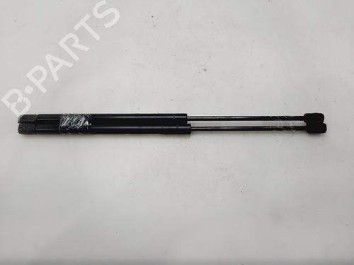 Vérin de coffre/hayon CITROËN C3 II (SC_) [2009-2025]  30838529