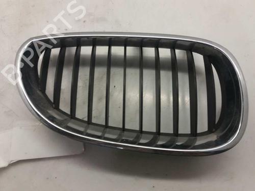 Used Grille BMW 5 (E60) 525 d (177 hp) 2874437
