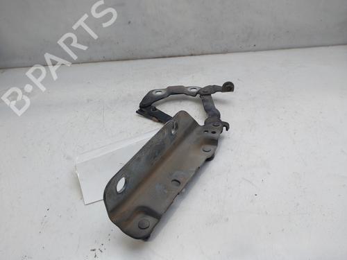 Hinge/Door check strap LAND ROVER FREELANDER 2 (L359) 2.2 TD4 4x4 | BP16988836C146 