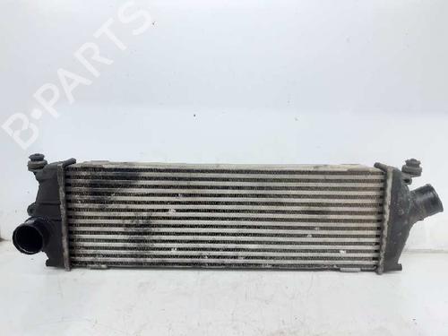 Intercooler OPEL VIVARO A Bus (X83) 2.0 CDTI (F7, J7, A07) (114 hp) 4416946 | 4416946 |