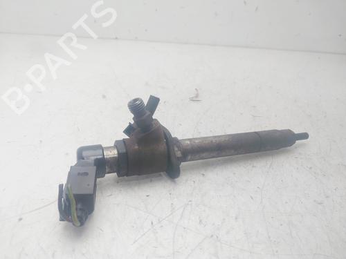 Injector LAND ROVER RANGE ROVER SPORT I (L320)  | BP29452496M100 