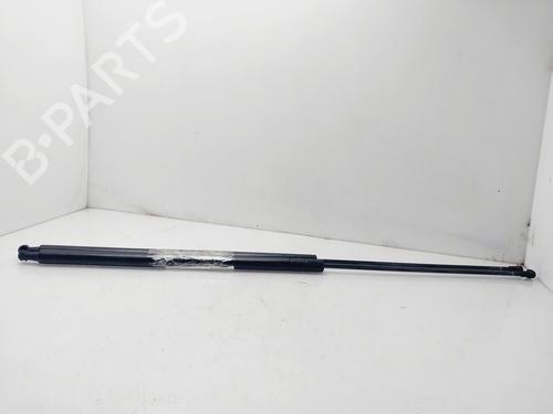Tailgate lift support SEAT TOLEDO III (5P2)  | BP21516815C138 