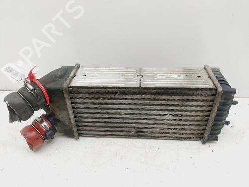 Intercooler CITROËN XSARA PICASSO (N68) 1.6 HDi | BP20499352M30 