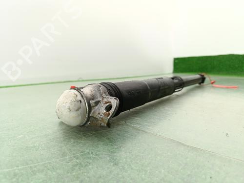 Left rear shock absorber SEAT LEON (5F1)  | BP27670972M18 