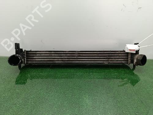 Intercooler Intercooler VW POLO V (6R1, 6C1) [2009-2022] 34343968 34343968