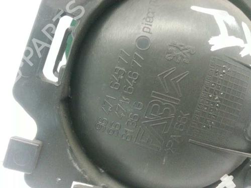 Rear left interior door handle CITROËN C3 I (FC_, FN_) 1.4 i Bivalent | BP3423907I15 