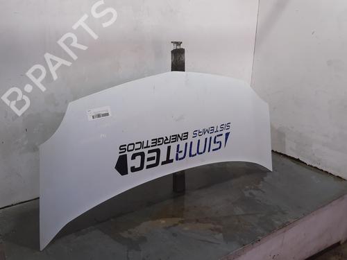 Hood RENAULT KANGOO / GRAND KANGOO II (KW0/1_) 1.5 dCi 70 (KW0V, KW0A) | BP16754799C1 