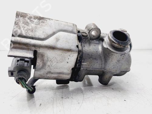Egr RENAULT MEGANE II (BM0/1_, CM0/1_)  | BP28106660M69 